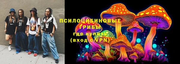 apvp Балабаново